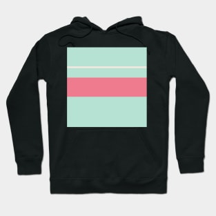 A refined collection of Pale Chestnut, Powder Blue, Misty Rose and Light Coral stripes. Hoodie